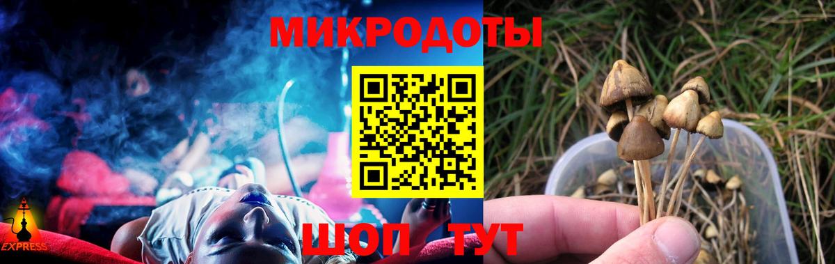 Псилоцибиновые грибы мицелий  Вход с VPN  где найти   Галлюциногенные грибы Cubensis  Дедовск 