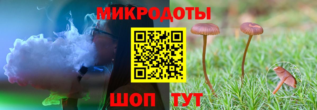 Псилоцибиновые грибы мицелий Дедовск