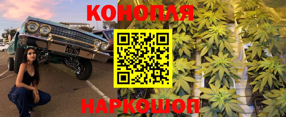 Марихуана сатива  Каннабис тримм  Дедовск  Вход с VPN  Канабис THC 21%  Бошки Шишки LSD WEED 